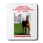 Support  HR 503 Mousepad