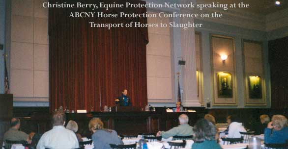 Christine Berry, Equine Protection Network speaking at the ABCNY Horse Protection Conference on the transport of horses to slaughter.