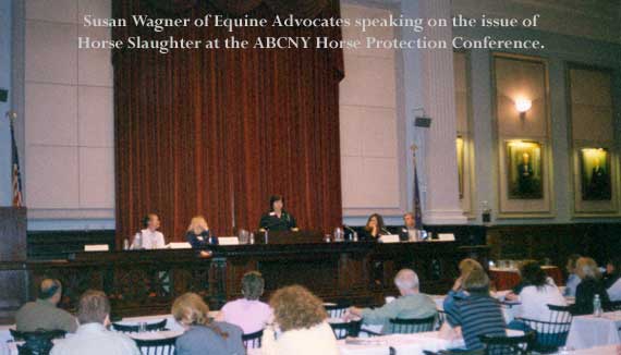 Susan Wagner, Equine Advocates speaking at the ABCNY Horse Protection Conference on horse slaughter.