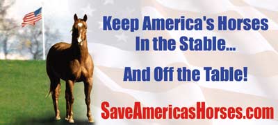 Save America's Horses Billboard Campaign