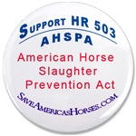AHSPA, HR 503 Campaign Button