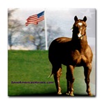 EPN Save Americas Horses tile coaster available at Cafe Press