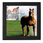 Save Americas Horses tile