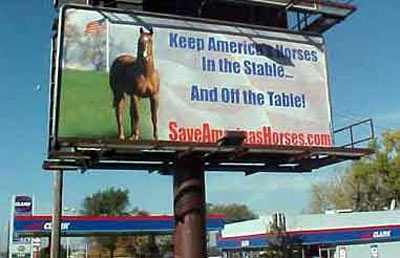 Save America's Horses billboard in Illinois