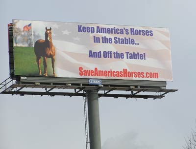 Save Americas Horses Billboard Campaign